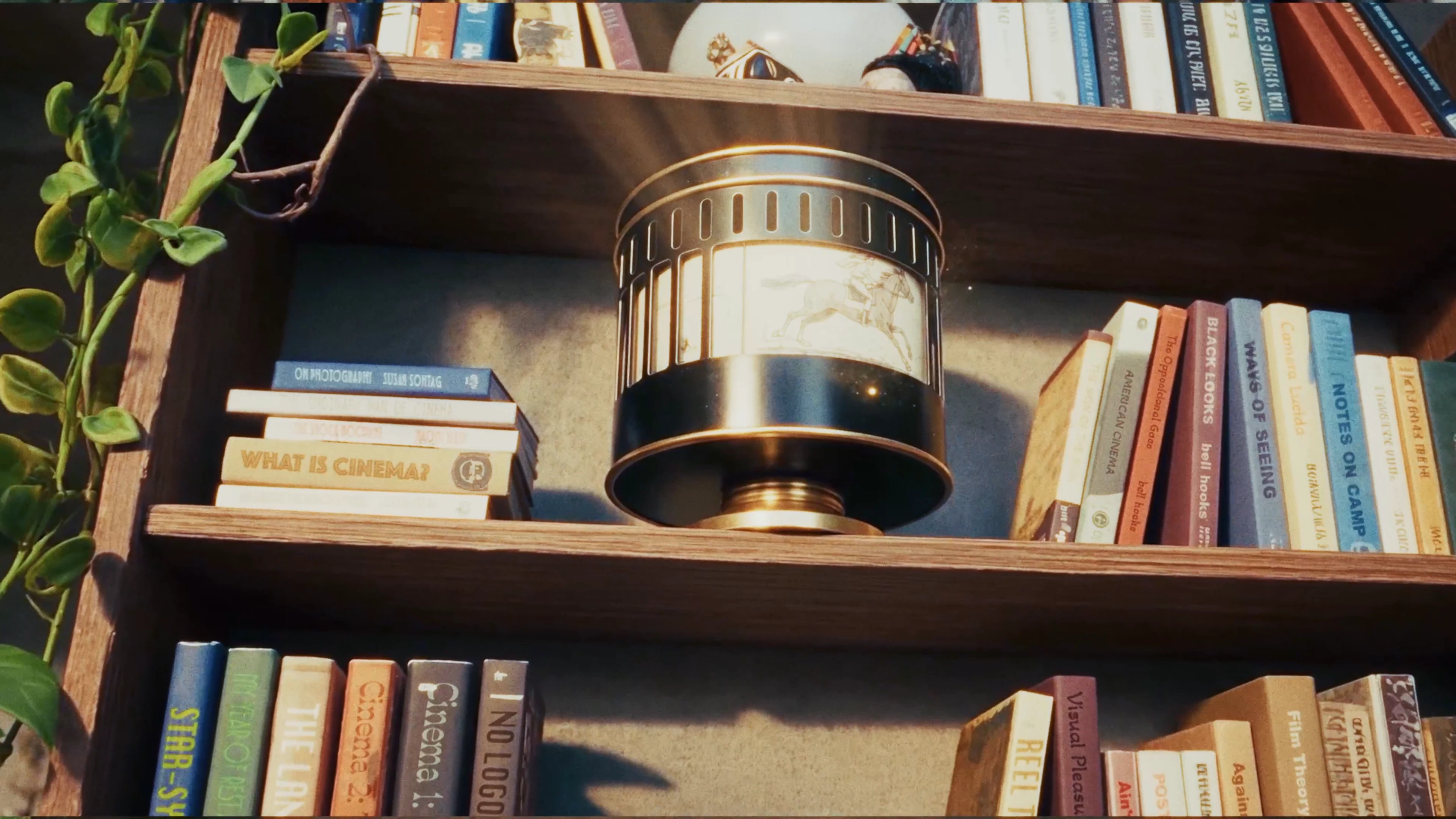 The bookshelf in Aaliyah’s room: the zoetrope surrounded by thirty-five invented film and technology titles